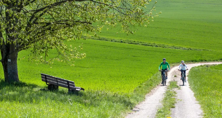 Cycling Holidays Insider Tips