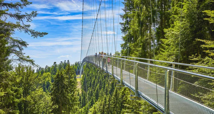 Baumwipfelpfad Bad Wildbad