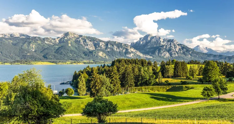 Cycling holidays in Lake Constance's hinterland