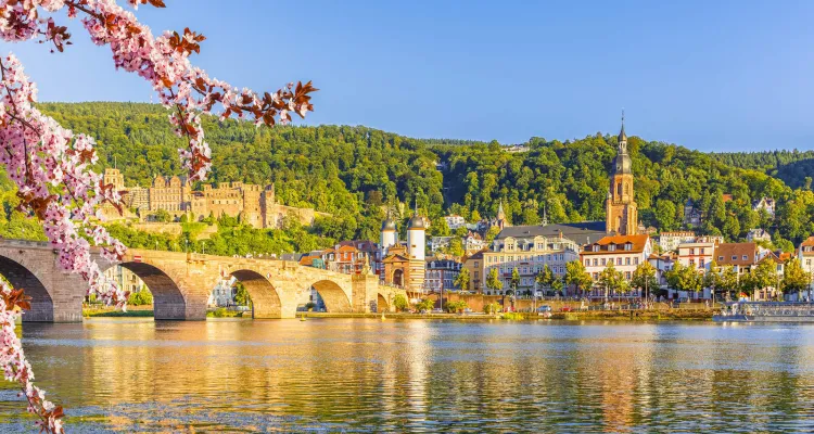 Heidelberg am Neckar