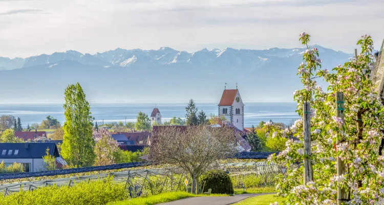 Die klassische Bodensee-Radreise