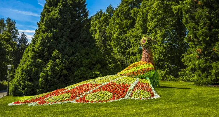 Star cycling holidays on Lake Constance