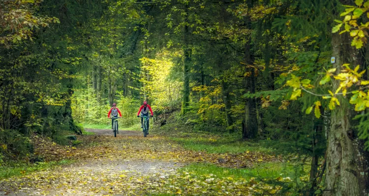 South of Germany
