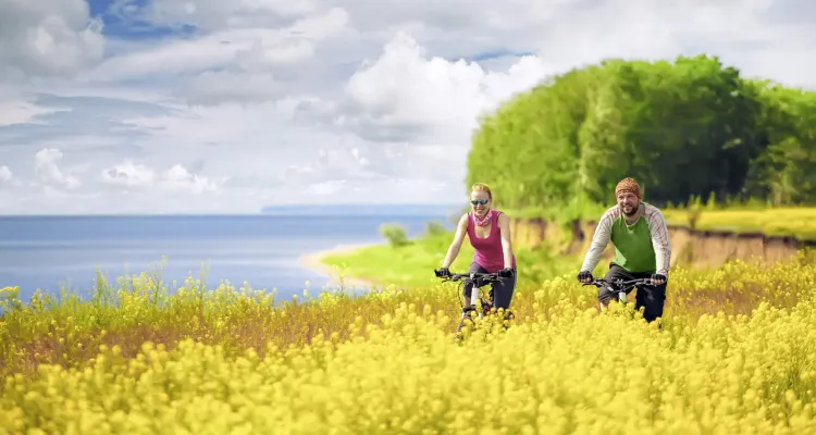 Centre Cycling Tours