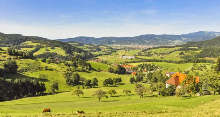 Black Forest