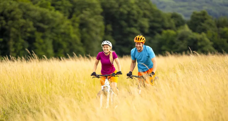 Active bike tour through the Allgäu Region