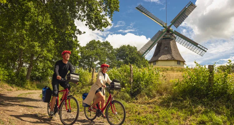 St.Michaelisdonn Windmühle Edda
