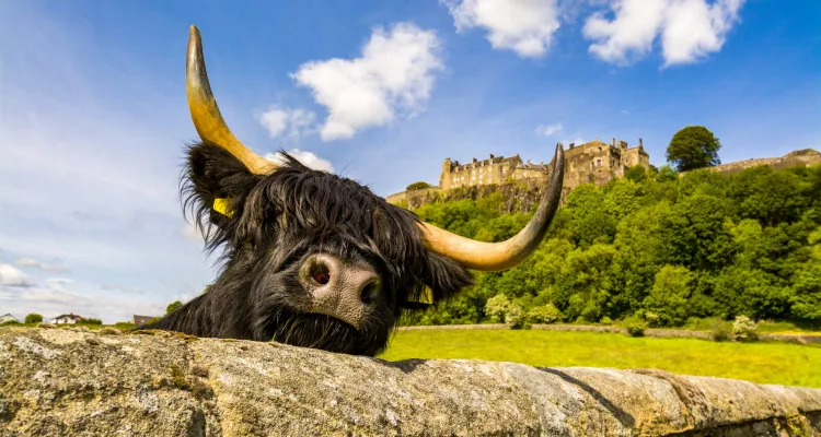 Stirling Castle