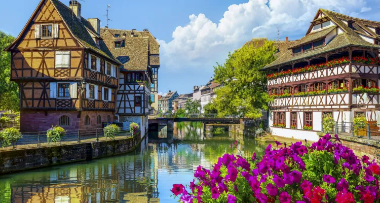 Cycle Tour in Alsace