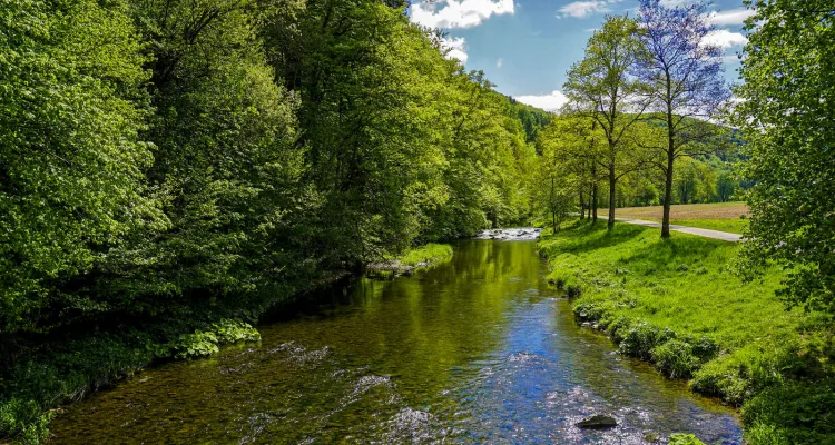Cycling Tour along the Neckar