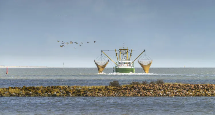 Krabbenkutter im Wattenmeer