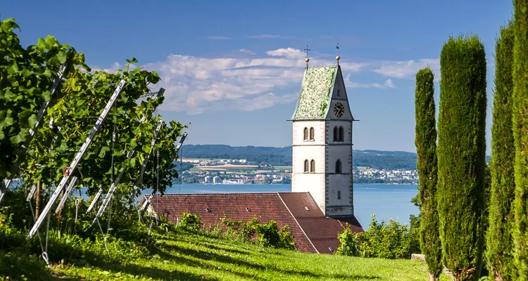 Weinberge, Meersburg