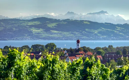Aktivurlaub am Bodensee