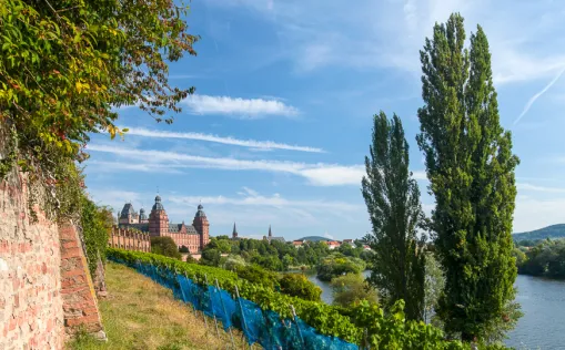Der große Radurlaub am Main