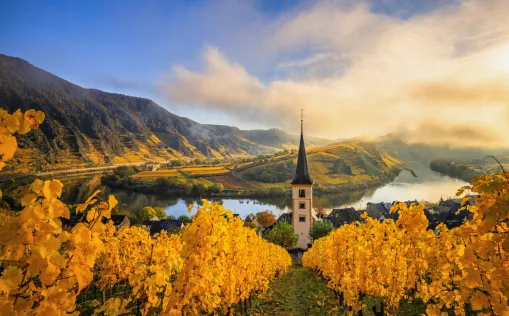 Mosel, Weinberg, Herbst