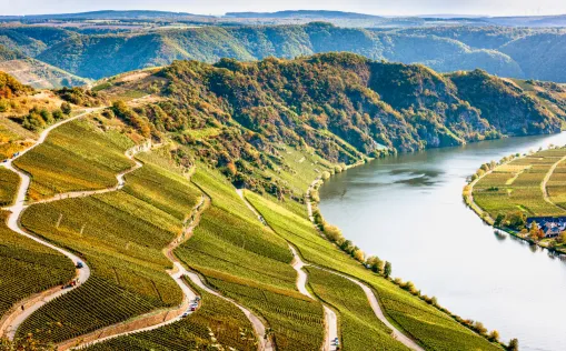 Cycling holidays along the Moselle Cycling Holidays