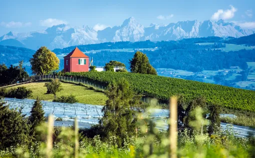 Vom Bodensee zur Donau und ins Allgäu mit dem Rad