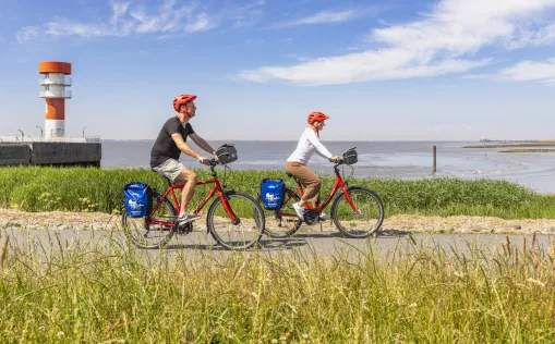 Cyclists near Brunsbüttel