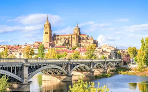 cathedral of Salamanca