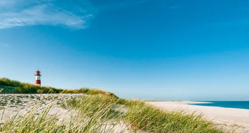 Bike tour to the North Frisian Islands