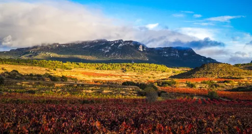 Cycle tour in La Rioja