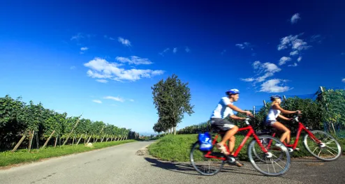 Cycling Trip at Lake Constance