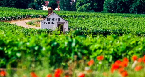 Radtour durch das Burgund