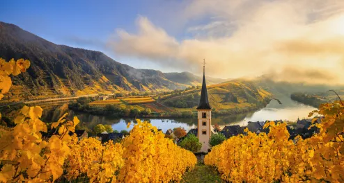 Mosel, Weinberg, Herbst