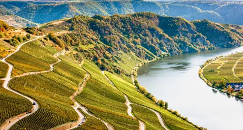 Piesport, Weinberge, Mosel, Landschaft