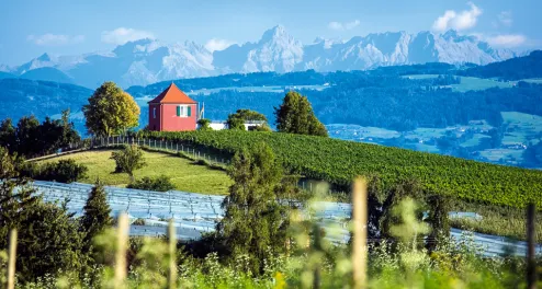 Vom Bodensee zur Donau und ins Allgäu mit dem Rad